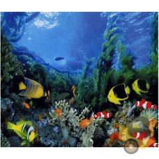Фотошпалери на паперовій основі Artdecor Підводне царство 201х242 см